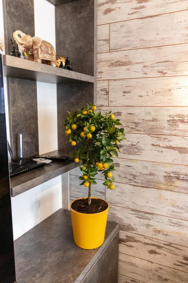 Tampa View Premium Apartment Braşov Dış mekan fotoğraf